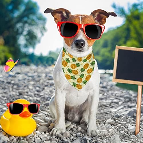 Кърпа За Кучета с Ананас, летни плодове и Тропически Хавайски Жълто Нашийник За куче, Шал, Костюм