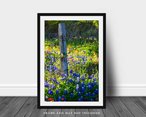 Снимка в стил Кънтри (без рамка) Вертикално изображение стълб на оградата, заобиколено от сини шляпками, в пролетен ден в Тексас, Стенен декор от диви цветя, от 4x6 до 4
