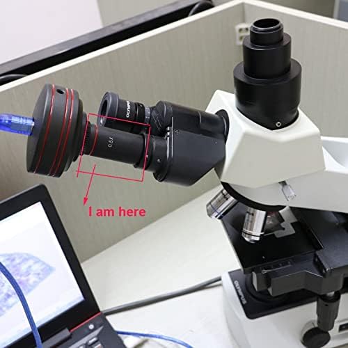 Аксесоари за микроскоп 0.3 X 0.4 X 0.5 X 1X Обектив Адаптер Индустриална Камера Свързан Микроскоп Лабораторни Консумативи (Цвят: 0.5 X L43)