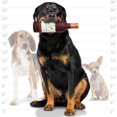 Глупави Пищялките – бутилки Вино - Groobert Sloobery - Играчка за кучета - винил. Изработен от устойчив материал. Новост Toy Play & It Плува (Груберт Слоубери)